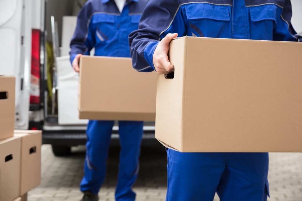 Professional moving company personel